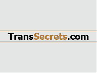 TransSecrets